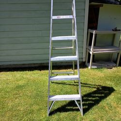 Ladder 6 Ft