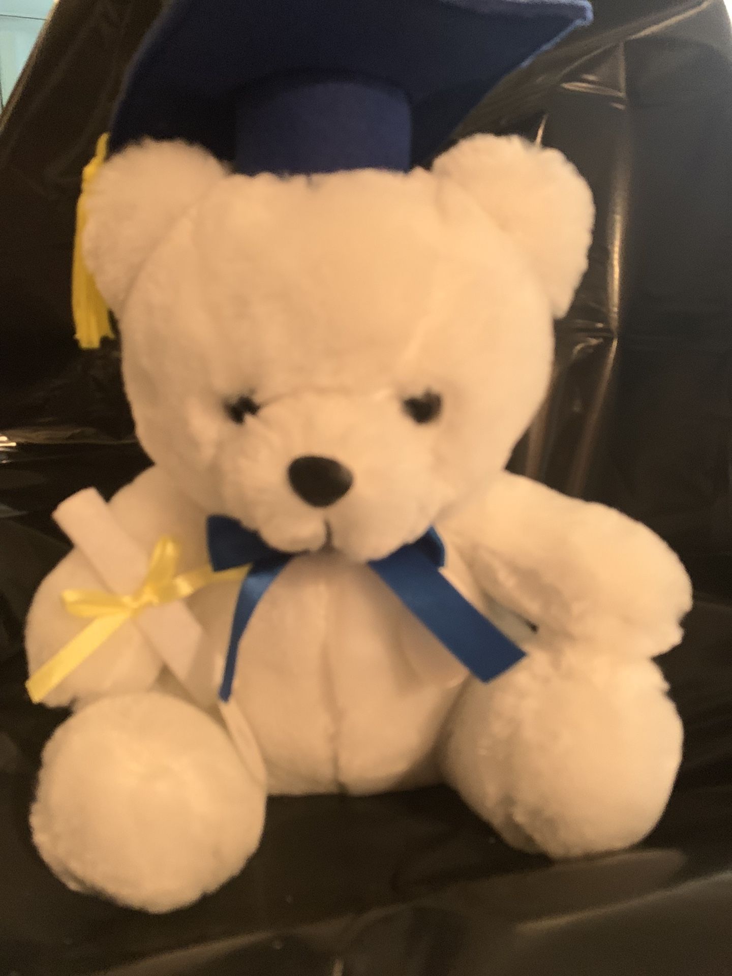 Graduation Teddy Bear