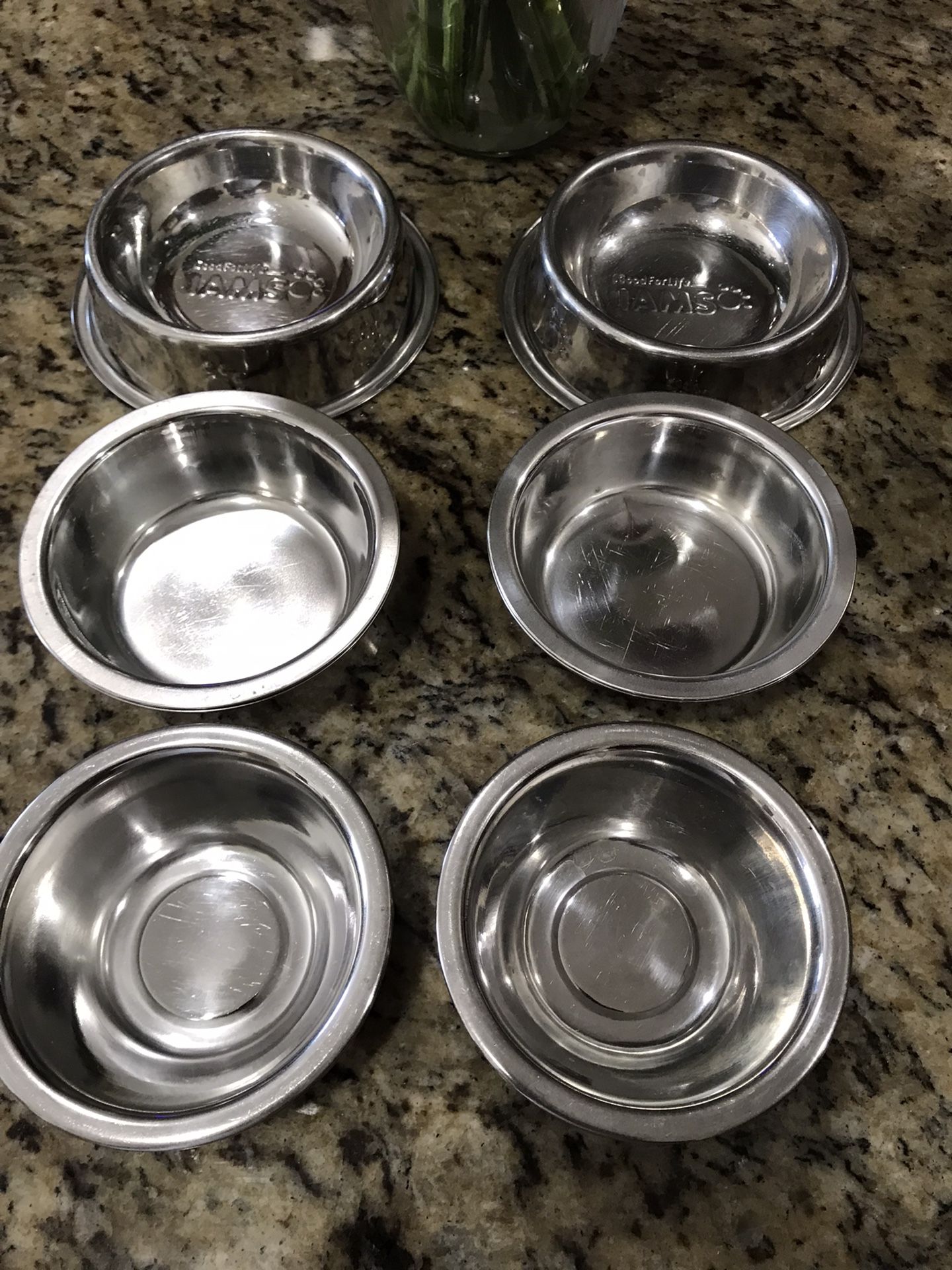 Dog Dishes