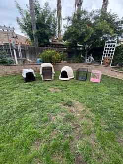 All dog houses/carriers for $100 or will sell separately