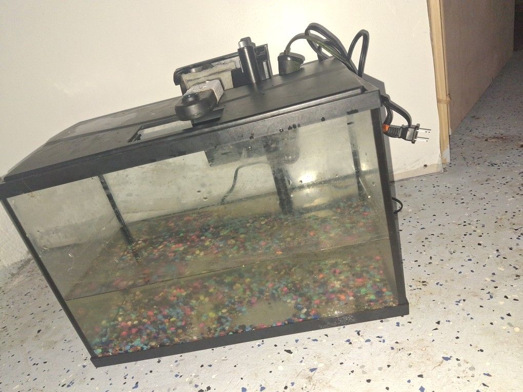 20 Gallon Fish Tank