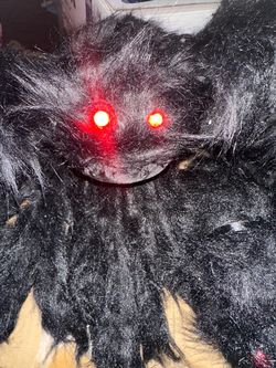 Spider eyes lights up