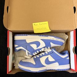 Nike Dunks Polar Blue (US 8)