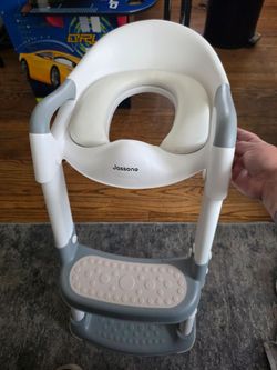 2 in 1 potty training seat