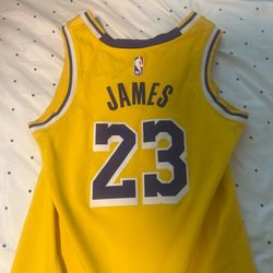 lebron james lakers jersey