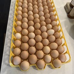 Farm Fresh Eggs / Huevos del Rancho