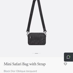 Dior Mini Safari Bag 