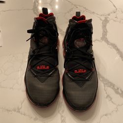 Lebron 19 Bred Size 11