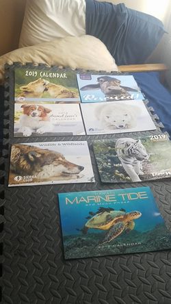 2019 to 2020 animal calendars