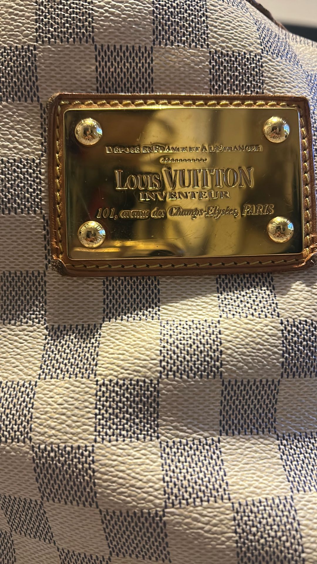 Louis Vuitton purse