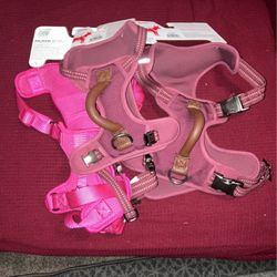 Dog Harness