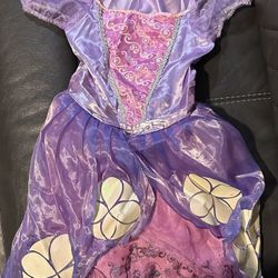 Sofia the first kids costume