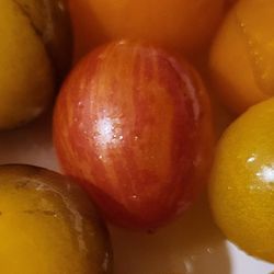 Rare Organic Pink Bumblebee Tomato Plants! 2025 SEASON EARLY RELEASE!