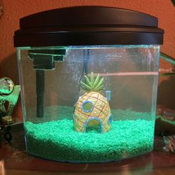 Fish Tank Everything Include 