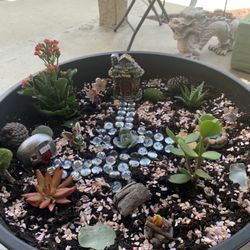 Fairy Gardens !!!