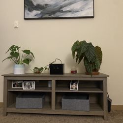 Entertainment Center 
