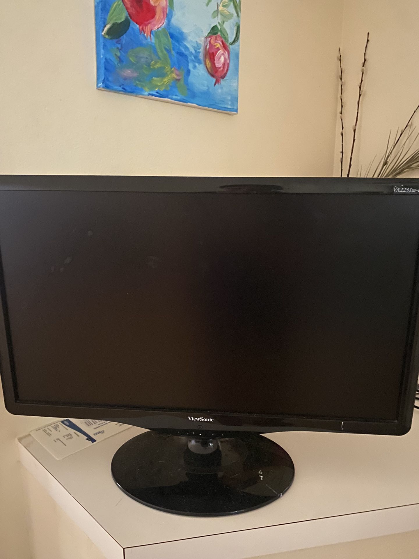 ViewSonic Monitor