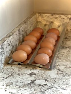 Fresh Egg Skelter