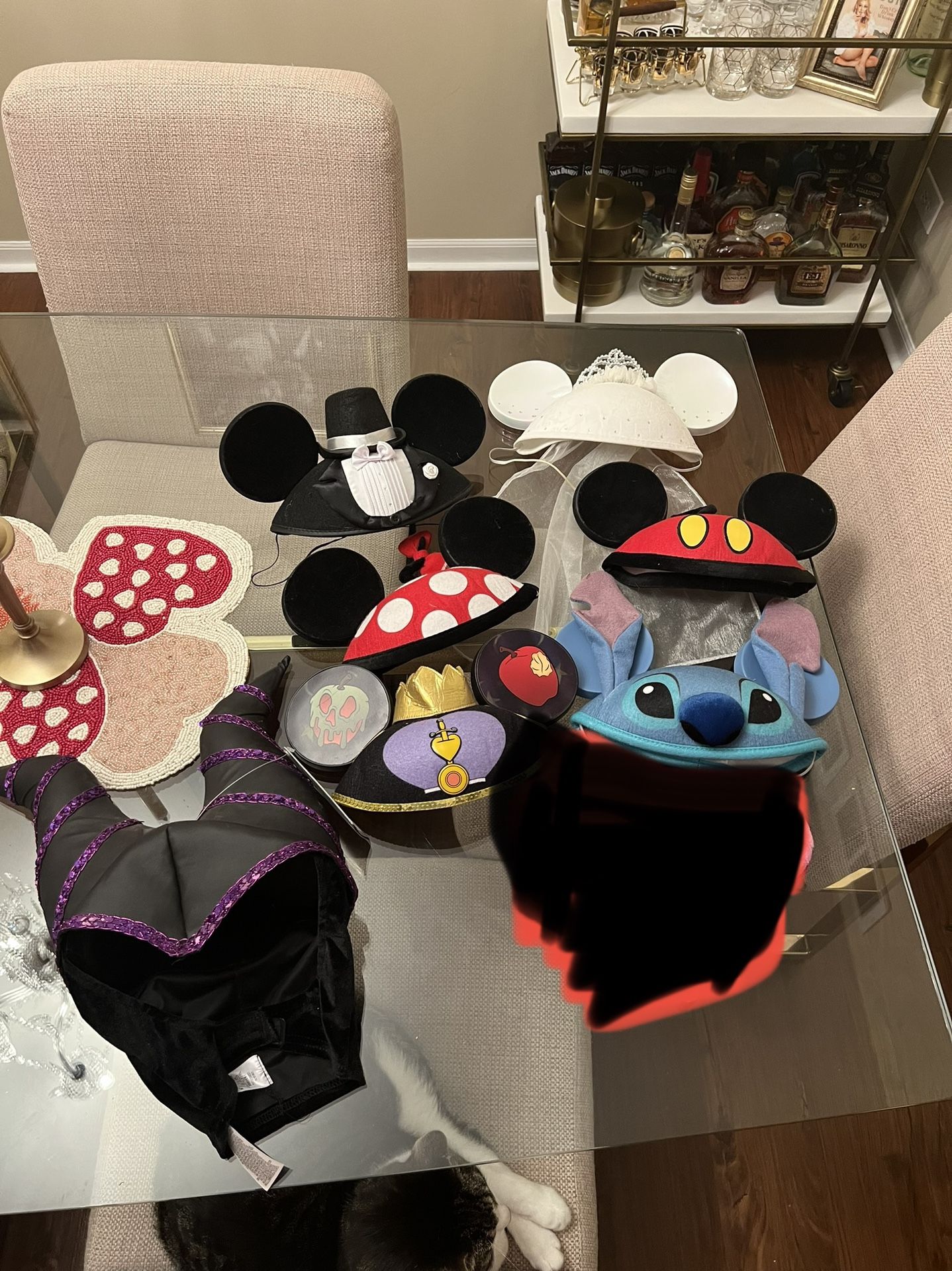 Disney Ears/Hats