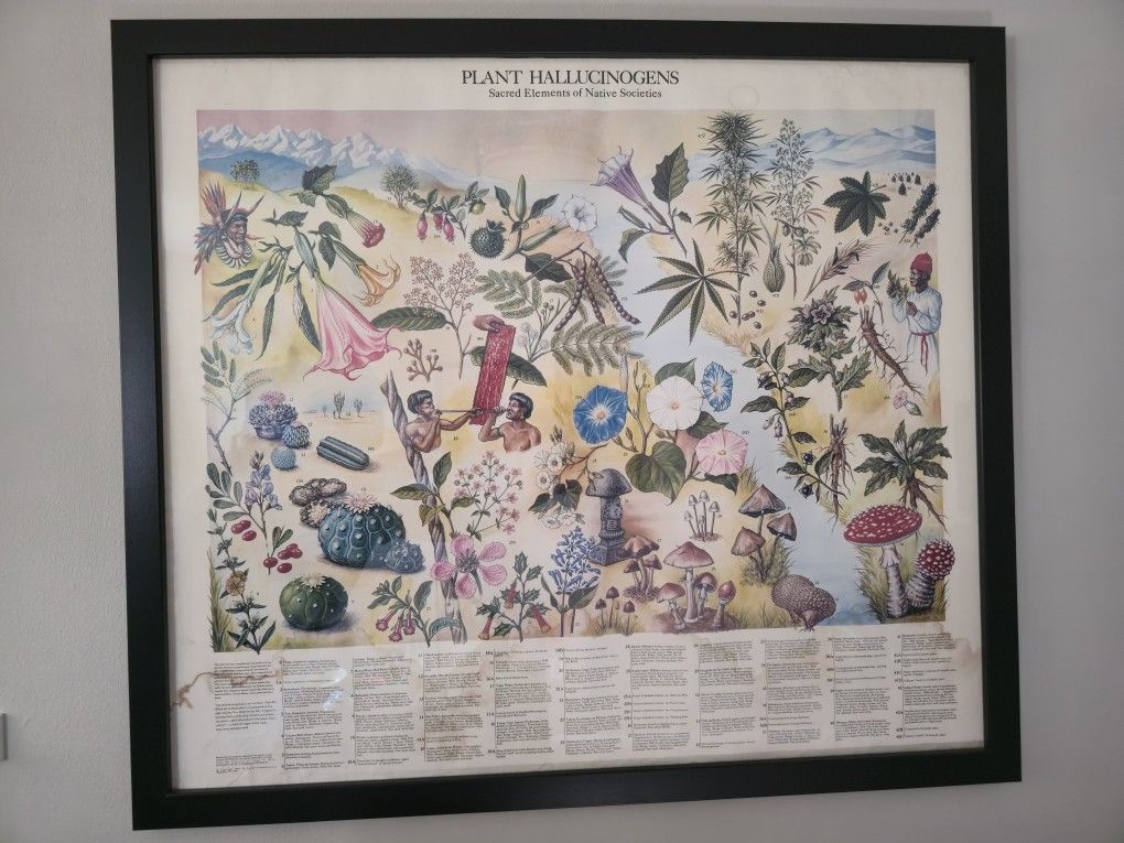 Plant Hallucinations Poster
