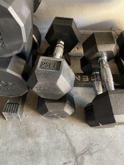 25 lb dumbbells (pair)