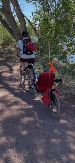 Weehoo Bike Trailer for kids
