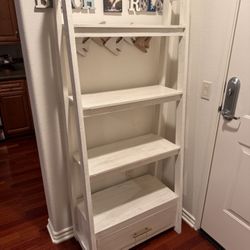 Ladder Bookshelve