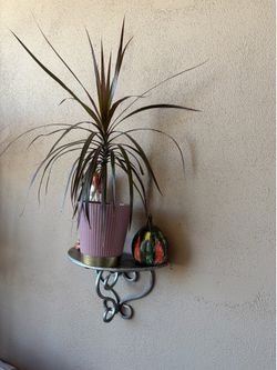 Plant