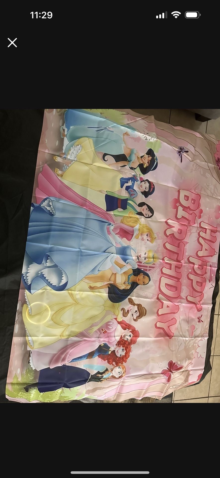 Disney Princesses Backdrop/Banners