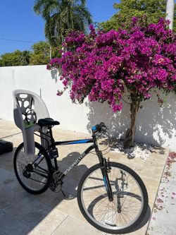 Rear child bike seat