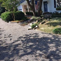 Free Maple Oceanfront