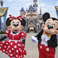 Disneyland 2 day 1 park per day ticket  South Sacramento