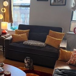 Comfy Cozy Loungey Pull-out Sleeper sofa