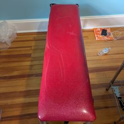 Folding Workout Bench