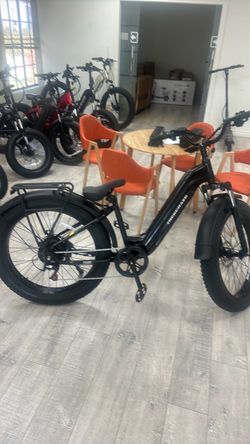 Fat tire off-road Ebike sale