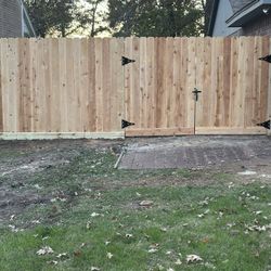 Pino,cedro, Gates ,More