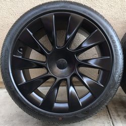Tesla Model Y Induction 20”