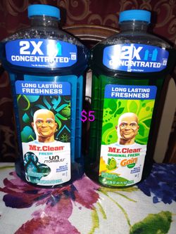 Mr clean $5 **** Houston TX 77093 ****