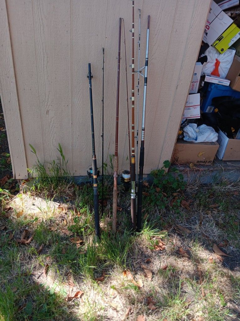 4 Fishing 🎣 Polls For Sale