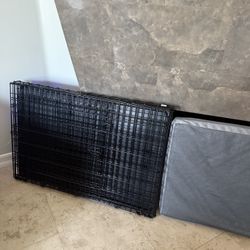 New Dog Crate And Pad 