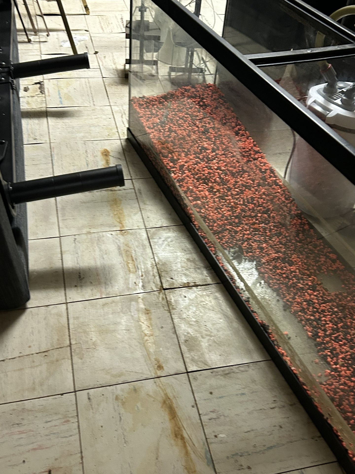 TWO 55 GALLON FISH TANKS NO FISH WITH PUMP