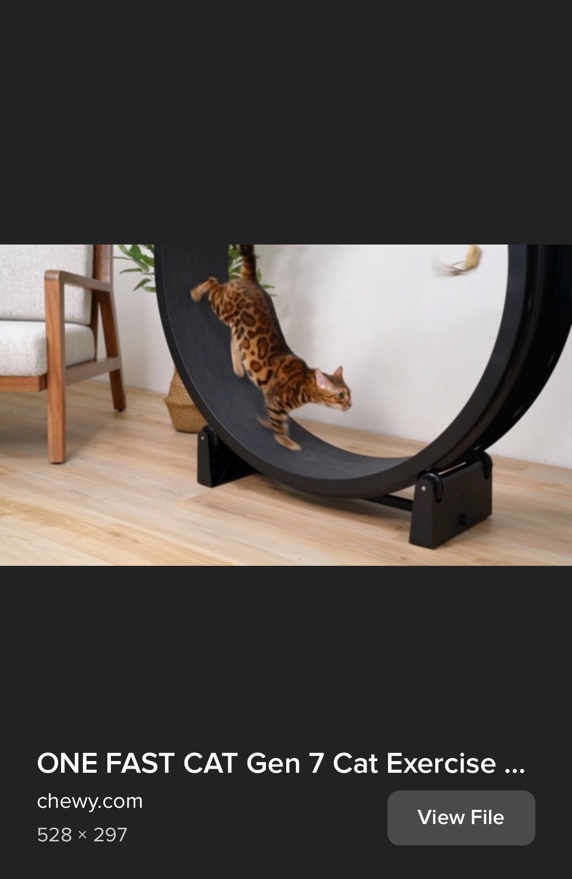 Cat Exercise Wheel