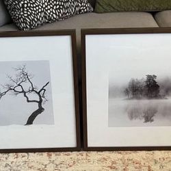 2 IKEA ~ RIBBA 20x20 Picture Frame #14743 in excellent condition  