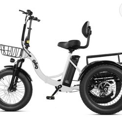 Qlife Tricycle 3 Wheels Electric Bicycle 