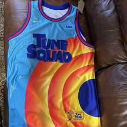 Nike Lebron James Jersey - #6