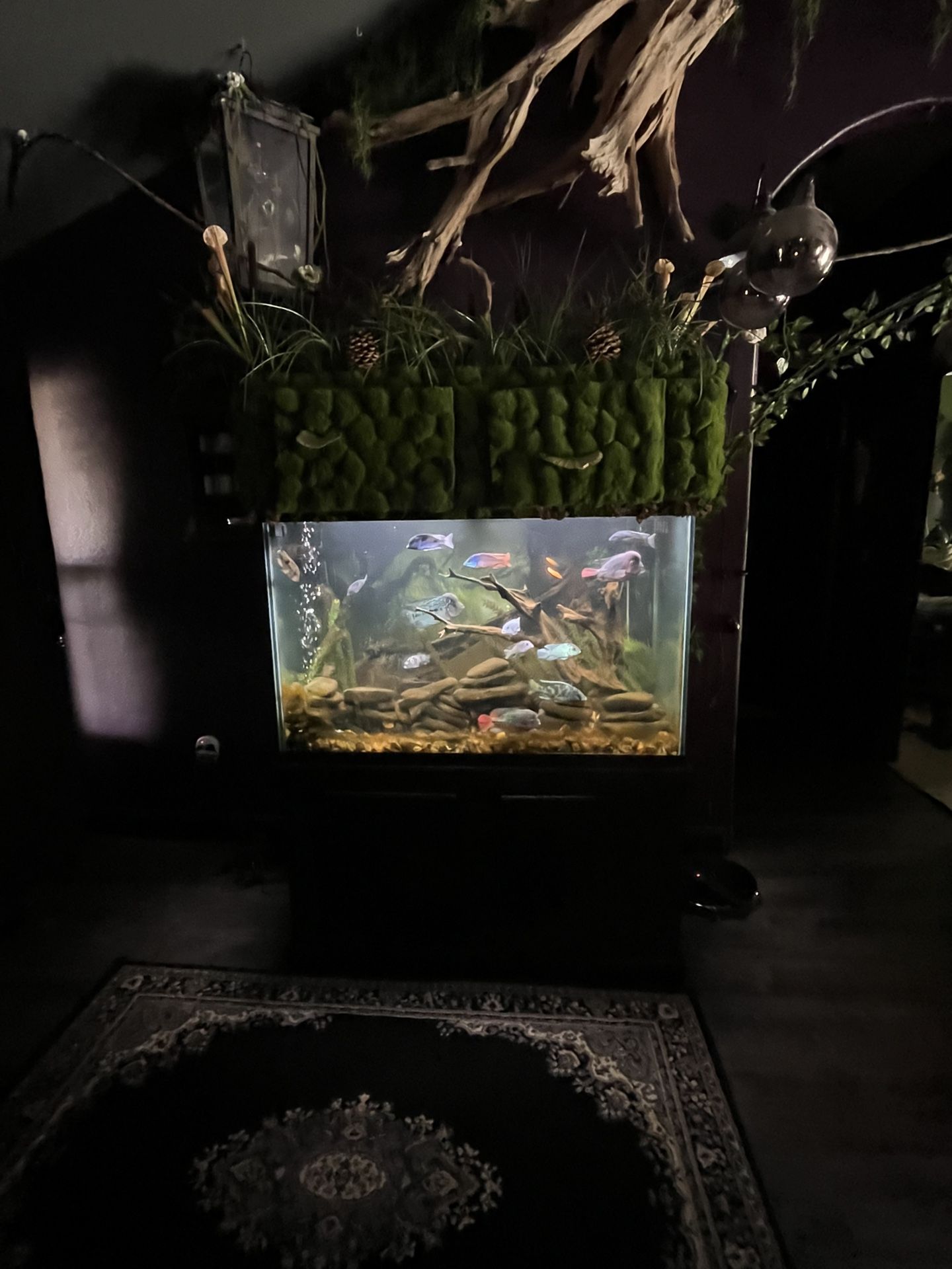 Giant Aquarium