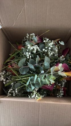 Baby breadth , eucalyptus cut for small vases
