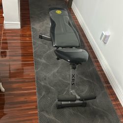 Golds Gym bench