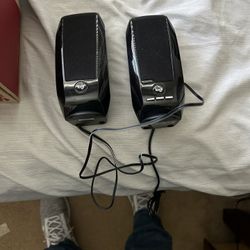 Computer Speakers 