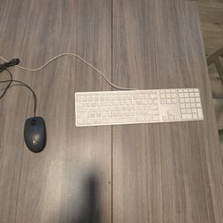 Apple Keyboard And Logitech Mouse 